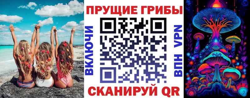 Псилоцибиновые грибы ЛСД  даркнет сайт  Светлоград 